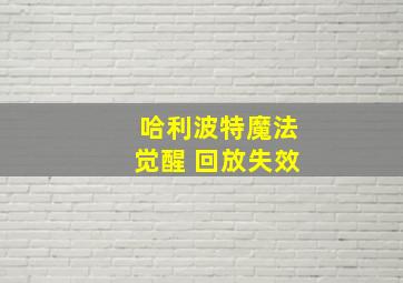 哈利波特魔法觉醒 回放失效